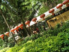 -新竹里馆·花园餐厅(兴苑路店)