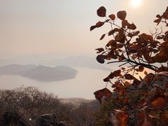 -望湖烤鱼