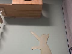 -半岛宠物医院24小时(白果林店)
