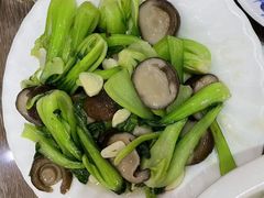 -林之六八·6886大连老菜馆