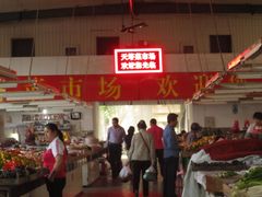 -天塔菜市场