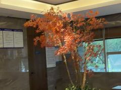 -三谷里·生态水疗空间(五一店)