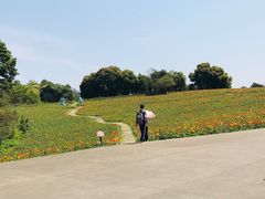 -保利石象湖景区