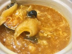 豪华碗仔翅-添發碗仔翅美食