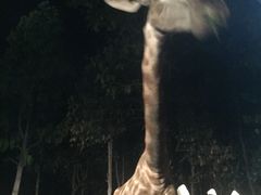-清迈夜间动物园