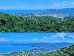 -亚龙湾热带天堂森林公园