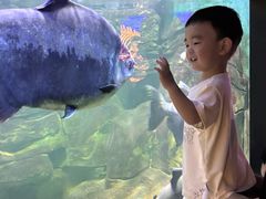-重庆欢乐海底世界
