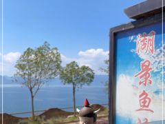 -湖景渔湾