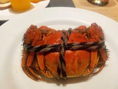 -星伦多自助料理(新湖店)