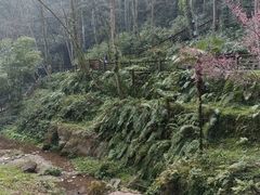 -青城山