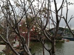 -观澜山水田园