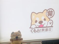 -柴源莊·柴小宠柴犬咖啡