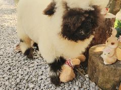 -HERRE·FARM 赫尔露营农场·团建聚会包场