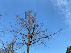 -麦当劳(无锡永乐店)