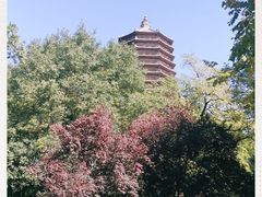 -玲珑塔公园