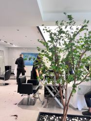 -付军剪艺JF ProSalon