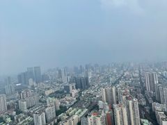 -339旋转餐厅(天府熊猫塔店)