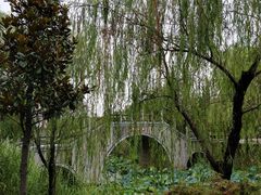-尚贤河湿地