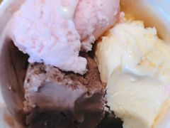 新西兰冰淇淋-比格比萨自助(花园路店)