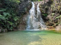 -南海湾森林生态园