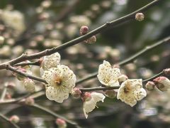 -宝岩生态观光园