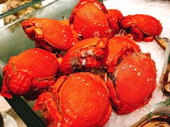 -扬州万怡酒店-中餐厅(文昌中路店)