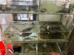 -长廊饭店(锦溪古镇店)