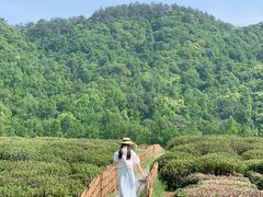 -中国茶叶博物馆(双峰馆区)