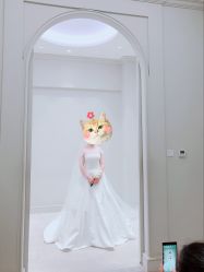 点击看大图 -Chic Bridal 熙可婚纱