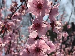 -苏州上方山国家森林公园