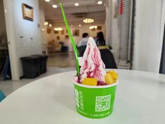 -Salud撒露欧洲冻酸奶(798艺术区店)