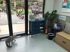 -嘉美宠物医院