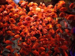 -波塞冬旅游度假区