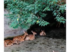 -台州府城(江南长城)