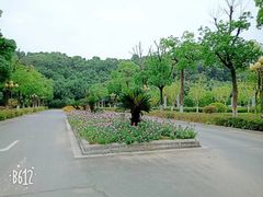 -敬亭山风景名胜区