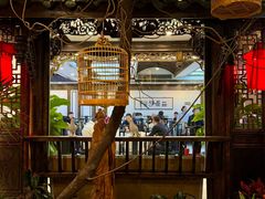 -陈麻婆豆腐(旗舰店)