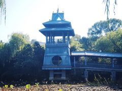 -金鸡湖桃花岛