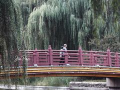 -元大都城垣遗址公园