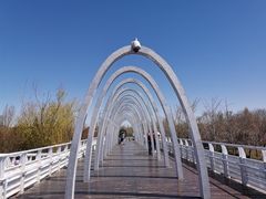 -大兴滨河森林公园