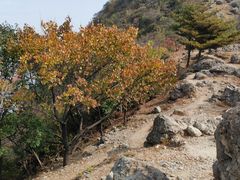-北京凤凰岭