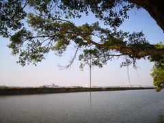 -大湾区中央湿地公园