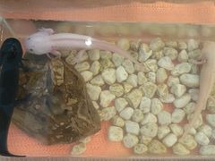-阳坊胜利涮羊肉(禧乐汇店)