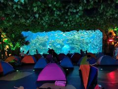 -芜湖新华联大白鲸海洋公园