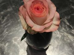 -上海外滩雅致酒店
