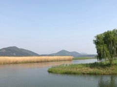-湖鲜楼