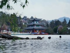 -黑龙潭公园