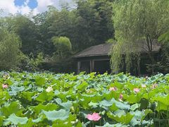 -西院1号(龙井店)