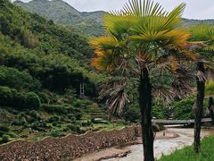 -石舍洒秀咖啡馆
