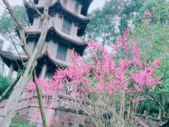 -成都杜甫草堂博物馆