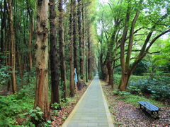 -同里国家湿地公园